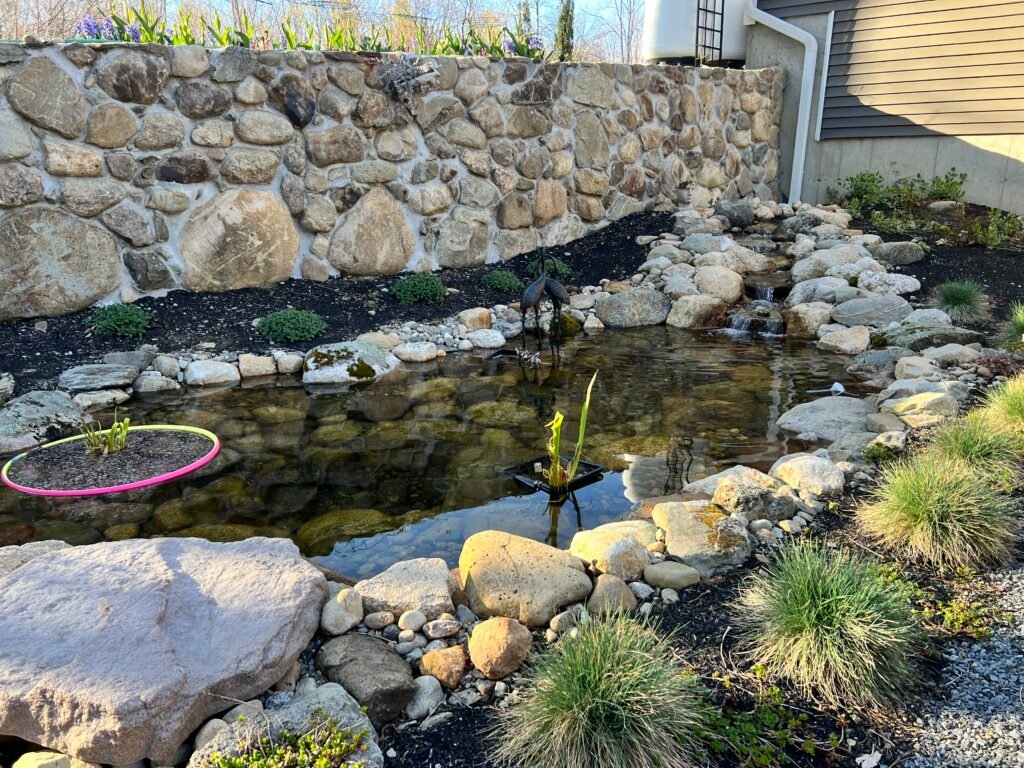 Medium Koi Pond 11x16 with patio planted