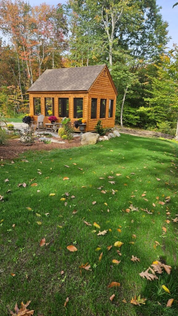 new lawn after seeding